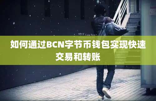 如何通过BCN字节币钱包实现快速交易和转账