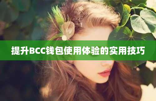 提升BCC钱包使用体验的实用技巧