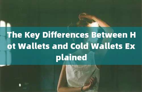 The Key Differences Between Hot Wallets and Cold Wallets Explained