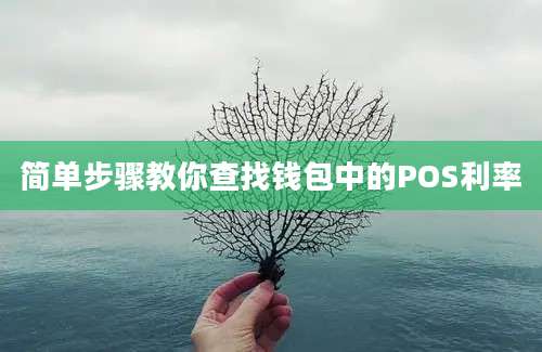 简单步骤教你查找钱包中的POS利率