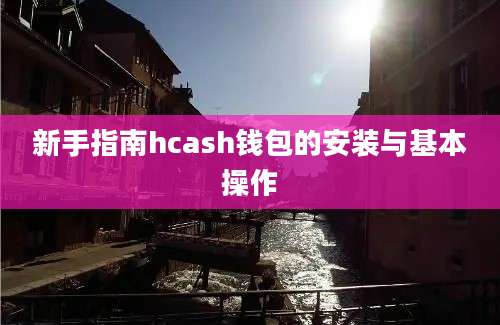 新手指南hcash钱包的安装与基本操作