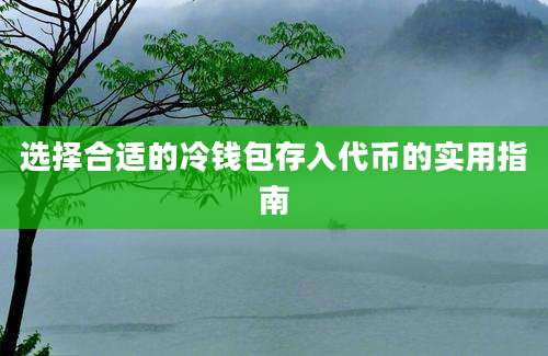 选择合适的冷钱包存入代币的实用指南