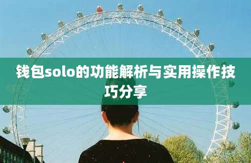 钱包solo的功能解析与实用操作技巧分享