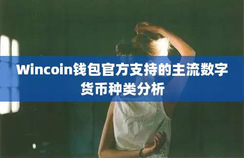 Wincoin钱包官方支持的主流数字货币种类分析