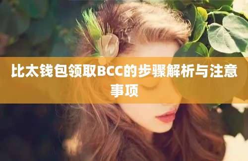 比太钱包领取BCC的步骤解析与注意事项