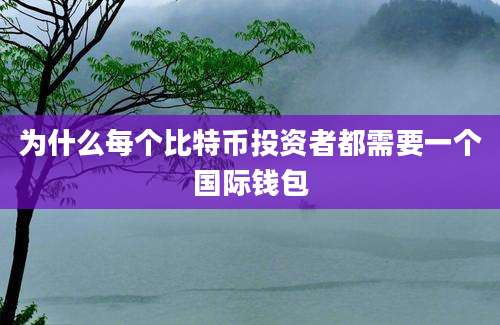 为什么每个比特币投资者都需要一个国际钱包