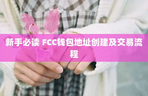 新手必读 FCC钱包地址创建及交易流程