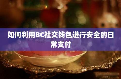 如何利用BC社交钱包进行安全的日常支付