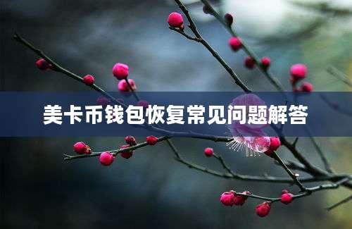 美卡币钱包恢复常见问题解答