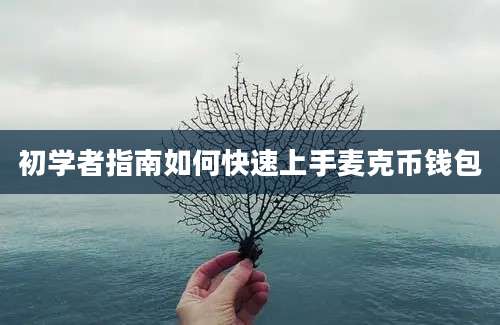 初学者指南如何快速上手麦克币钱包