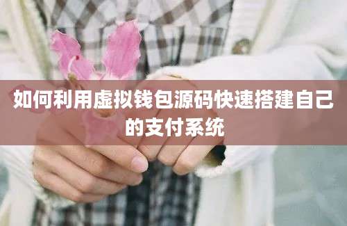 如何利用虚拟钱包源码快速搭建自己的支付系统