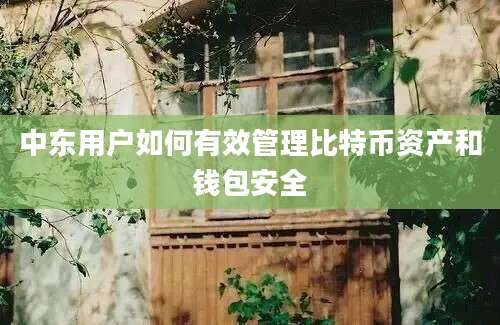 中东用户如何有效管理比特币资产和钱包安全