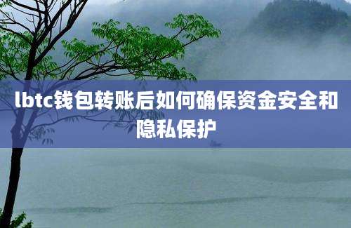 lbtc钱包转账后如何确保资金安全和隐私保护