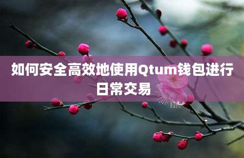 如何安全高效地使用Qtum钱包进行日常交易