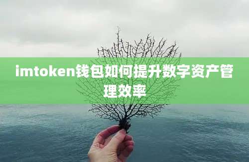 imtoken钱包如何提升数字资产管理效率