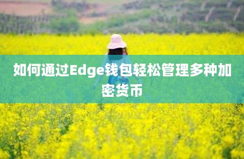 如何通过Edge钱包轻松管理多种加密货币