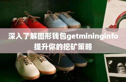 深入了解图形钱包getmininginfo提升你的挖矿策略