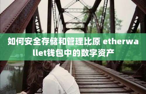 如何安全存储和管理比原 etherwallet钱包中的数字资产