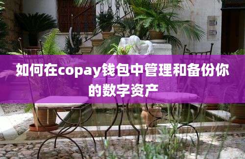 如何在copay钱包中管理和备份你的数字资产