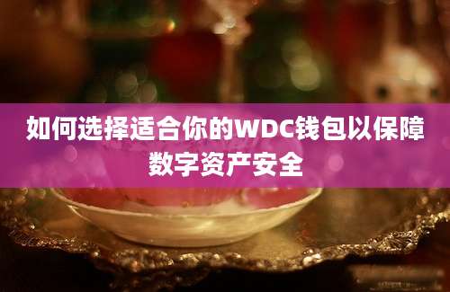 如何选择适合你的WDC钱包以保障数字资产安全