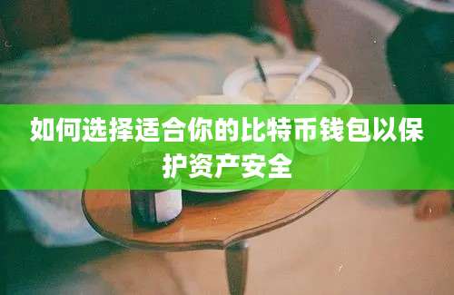 如何选择适合你的比特币钱包以保护资产安全