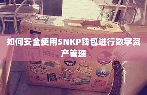 如何安全使用SNKP钱包进行数字资产管理