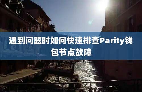 遇到问题时如何快速排查Parity钱包节点故障