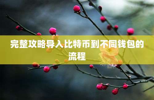 完整攻略导入比特币到不同钱包的流程