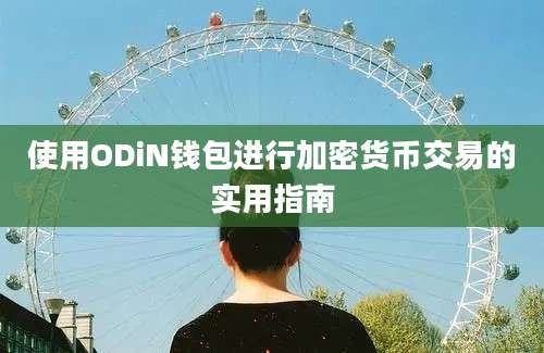 使用ODiN钱包进行加密货币交易的实用指南