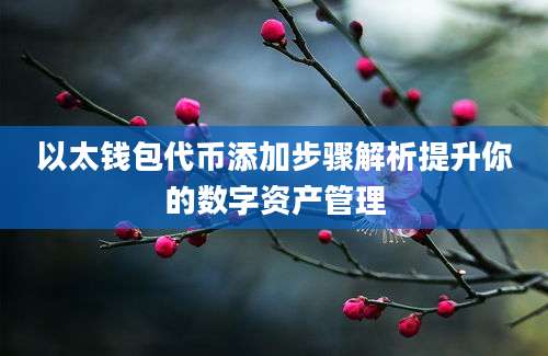 以太钱包代币添加步骤解析提升你的数字资产管理