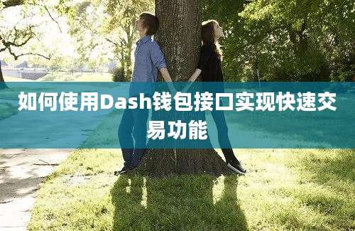 如何使用Dash钱包接口实现快速交易功能