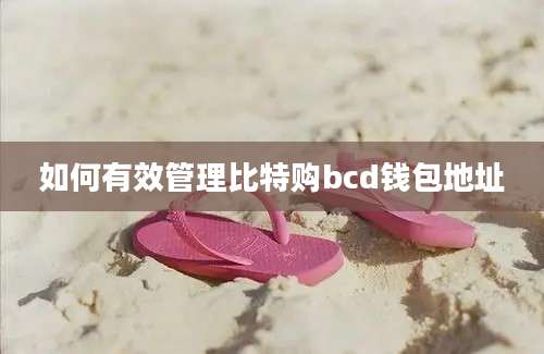 如何有效管理比特购bcd钱包地址