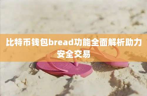 比特币钱包bread功能全面解析助力安全交易