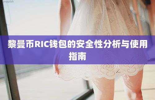 黎曼币RIC钱包的安全性分析与使用指南