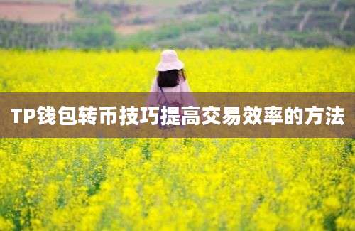 TP钱包转币技巧提高交易效率的方法