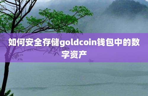 如何安全存储goldcoin钱包中的数字资产