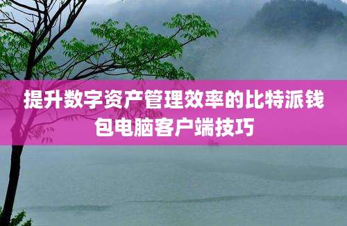 提升数字资产管理效率的比特派钱包电脑客户端技巧