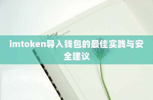 imtoken导入钱包的最佳实践与安全建议