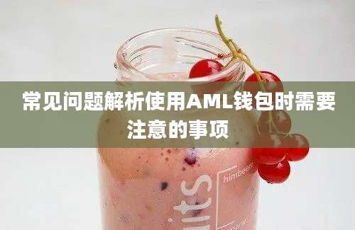 常见问题解析使用AML钱包时需要注意的事项