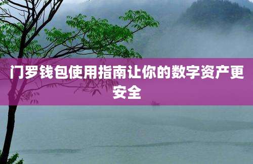 门罗钱包使用指南让你的数字资产更安全