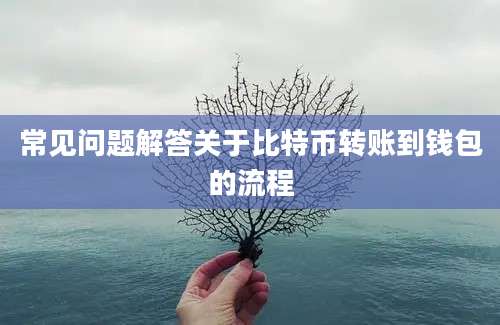 常见问题解答关于比特币转账到钱包的流程