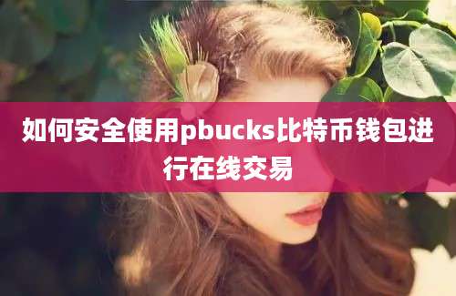 如何安全使用pbucks比特币钱包进行在线交易