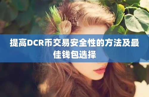 提高DCR币交易安全性的方法及最佳钱包选择