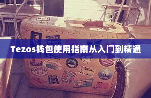 Tezos钱包使用指南从入门到精通