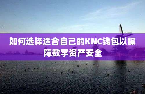 如何选择适合自己的KNC钱包以保障数字资产安全