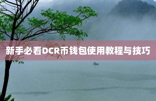 新手必看DCR币钱包使用教程与技巧