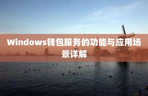 Windows钱包服务的功能与应用场景详解