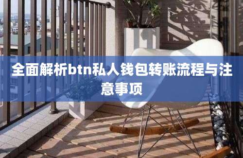 全面解析btn私人钱包转账流程与注意事项