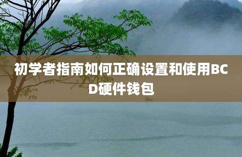 初学者指南如何正确设置和使用BCD硬件钱包