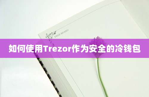 如何使用Trezor作为安全的冷钱包